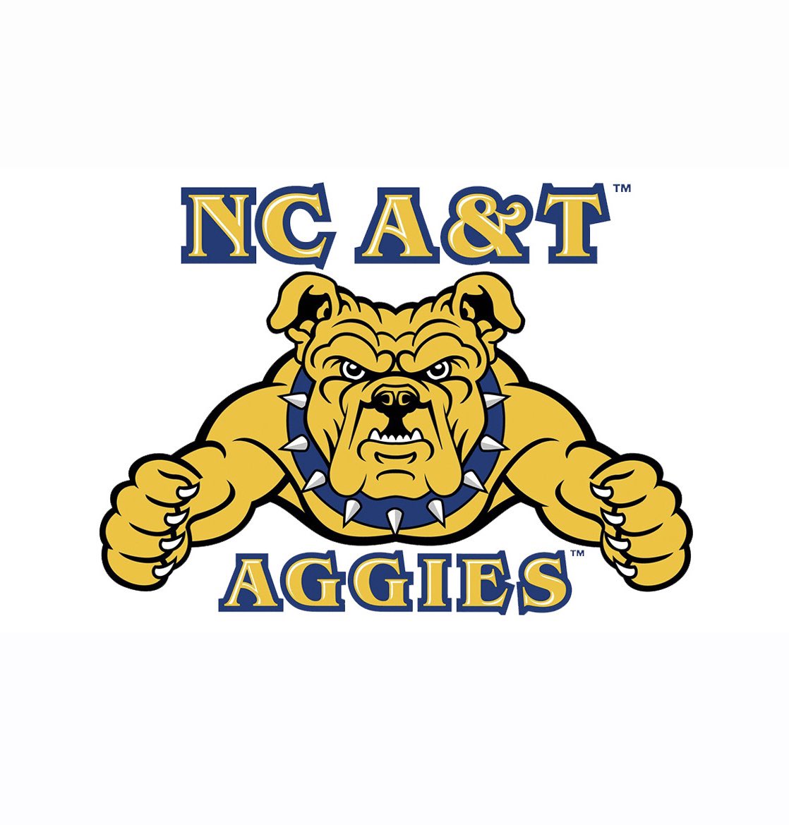 TJBailey_'s tweet photo. Blessed to receive my 9th D1 offer from North Carolina A&amp;T! @KoachCheek @Alvance_Rob @ChadSimmons_ @BrandonHuffman @BrianDohn247 @Andy_Villamarzo @On3Richie @tdhald @BobbyDeren https://t.co/TeiPxjFq9s