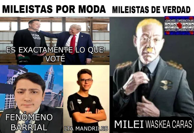 OveX tweet media