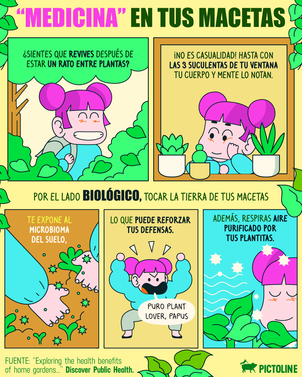 pictoline's tweet photo. Así sean 2 monsteras o 3 suculentas, los beneficios de ese pequeño “jardín” se sienten 🪴✨

#plantas #naturaleza #salud #bienestar #mente #pictoline https://t.co/I5C7SKQnPh