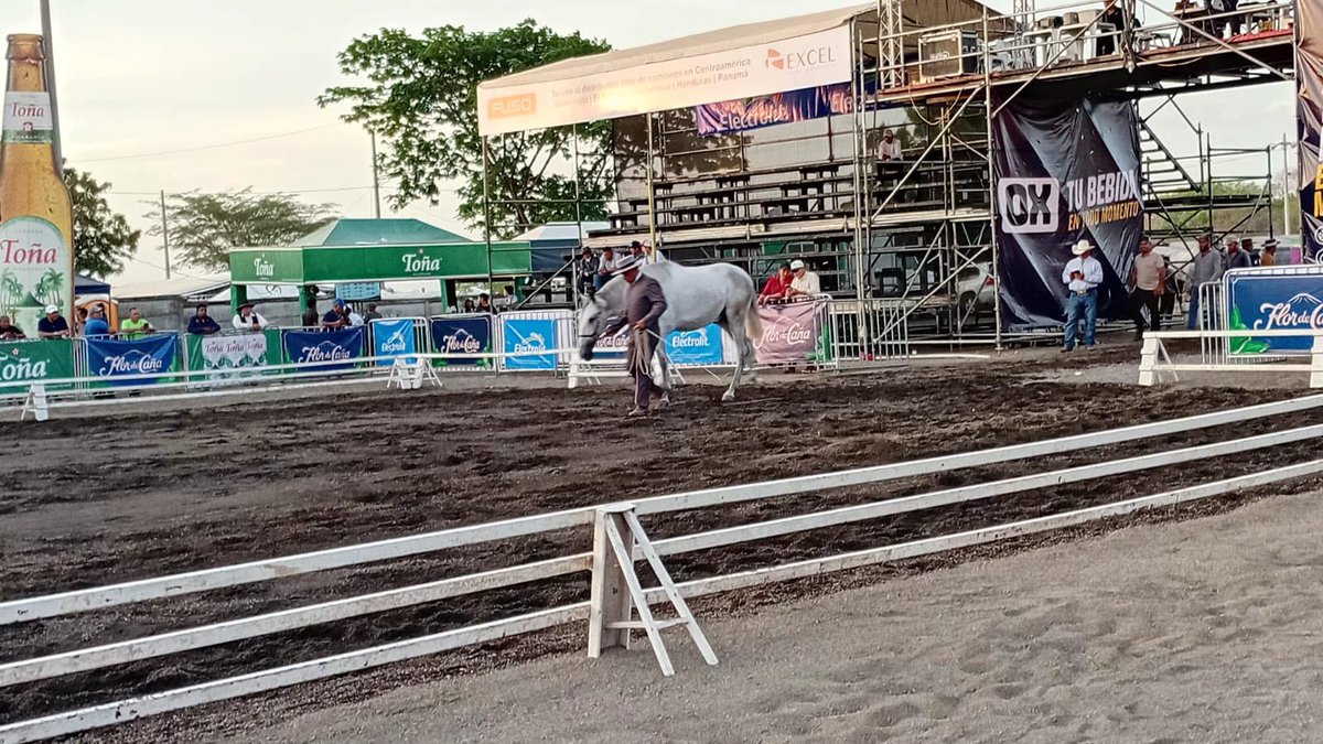 Canal2Nicaragua's tweet photo. #TvNoticias 🌐
🐎 Así se vive el ambiente en la XV Feria Internacional del Caballo 2026, a desarrollarse del 21 al 24 de mayo en el 📍kilómetro 7.5 carretera a Masaya.

En el evento participan criadores de caballos de Nicaragua, Guatemala, Costa Rica, Honduras y El Salvador. https://t.co/fhUa6zzAV2
