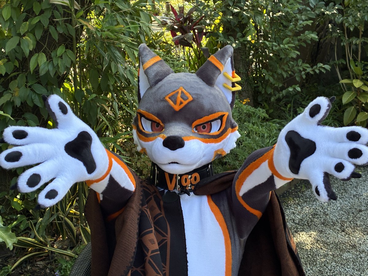 JolBusin's tweet photo. 抱我！噗可以綁架我！

#沒在管是不是毛五

Take my paws, take my paws
Show me wonders of your world
The autumn leaves, the summer breeze
Your shiny hair like mahogany
Teach me, oh, teach me
The language that you sing
Lyrr viva tou conquieta
Aeterrno amora
-Summoning 101 Mili https://t.co/IXv2g10FDJ
