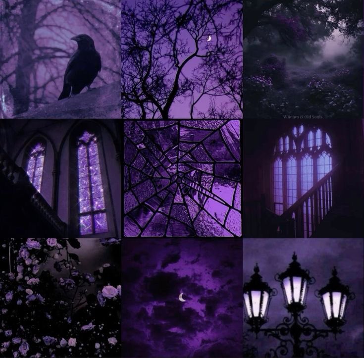 violet✧*｡ tweet media