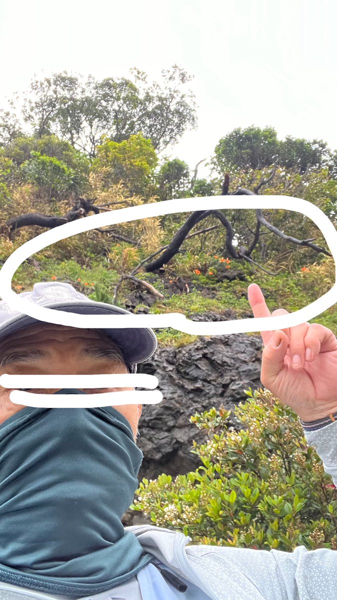 HARUHIRO tweet media