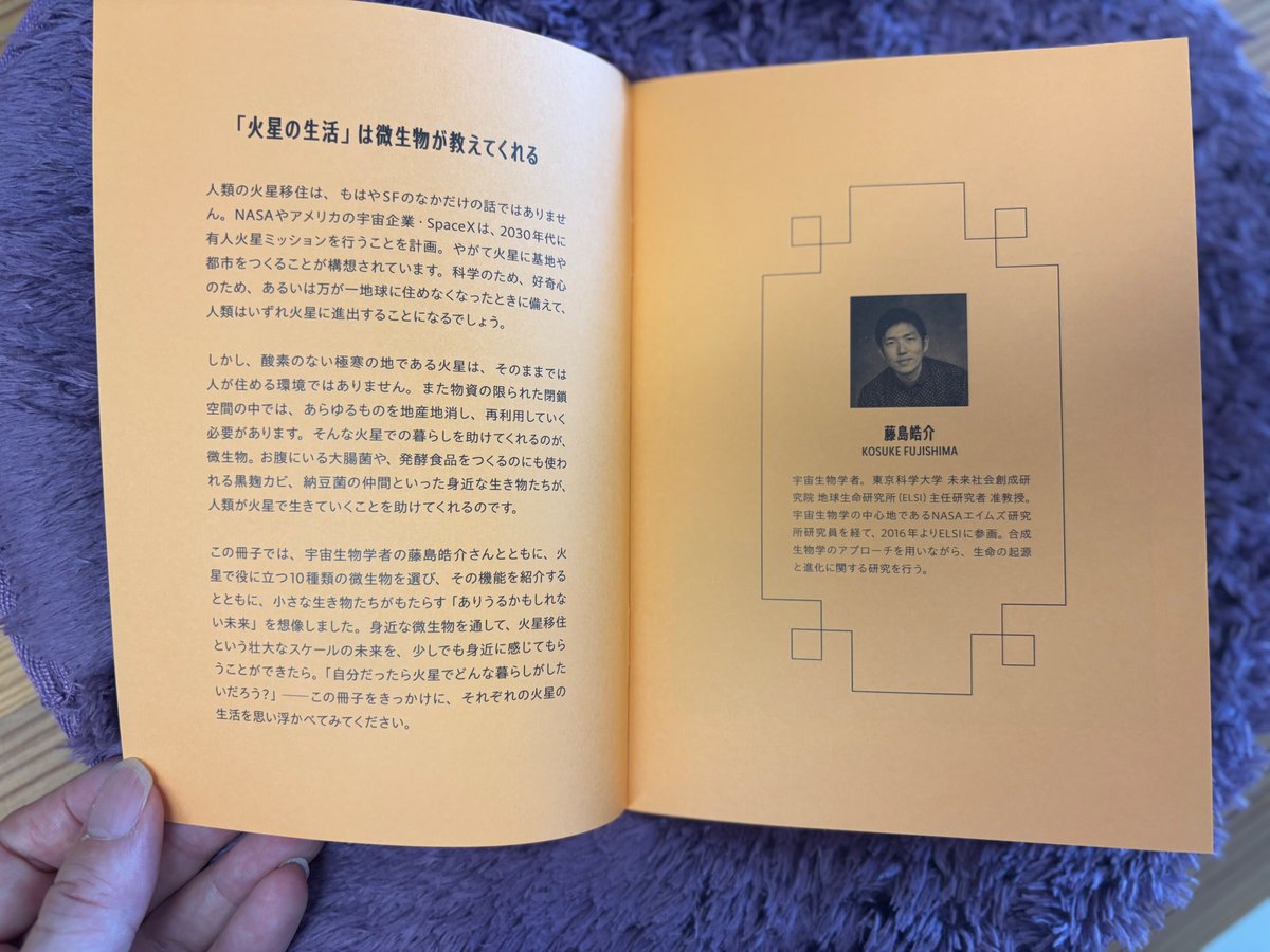 伊藤亜紗 tweet media