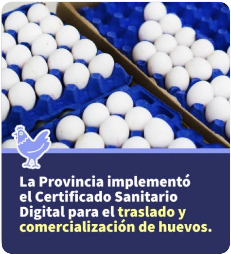 Pato Vásquez tweet media