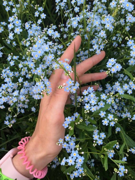 aestheticspost_'s tweet photo. forget-me-nots https://t.co/VxMDvjfMhA