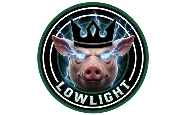 LowLight tweet media