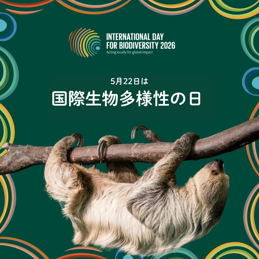UNIC_Tokyo's tweet photo. 5月22日は #国際生物多様性の日 

2026年のテーマは
「地域の一歩が、世界を動かす」

身近な場所で #生物多様性 を見つけ、
地域の取り組みに参加し、行動を起こし、
その成果を共有しましょう。

それこそが、世界を変える方法です。

@UNBiodiversity #BiodiversityDay