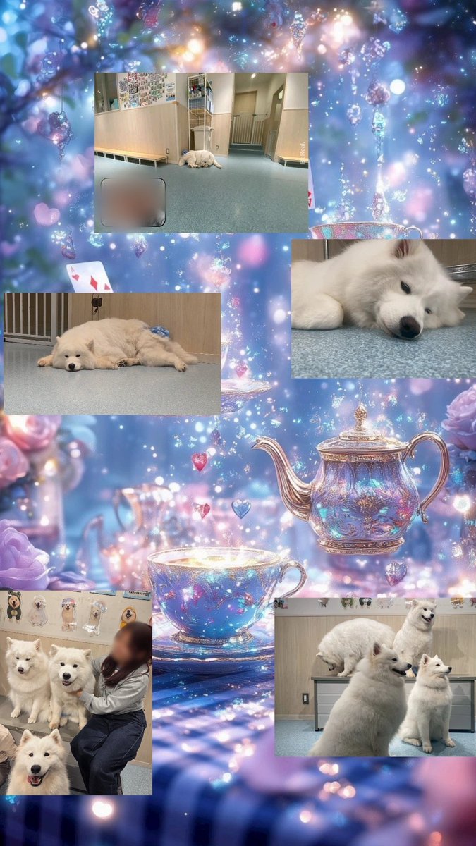 唯月(∪・ω・)イツキ(月見大福 tweet media