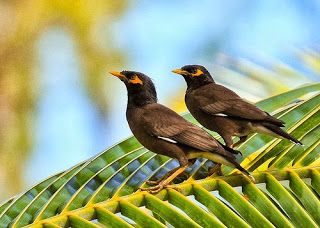 Preeja 🌼Jayan tweet media