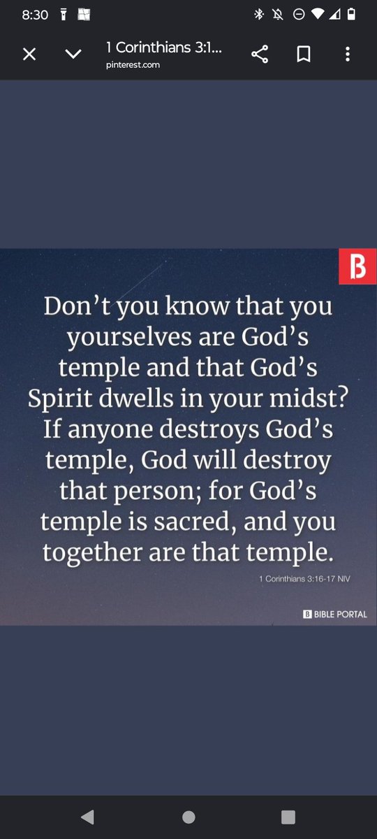 The Holy Bible Minute 🌞 tweet media