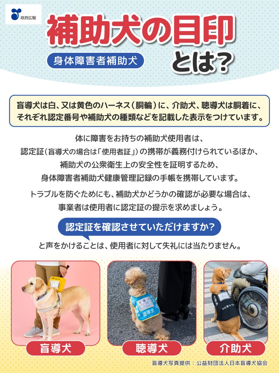 政府広報オンライン tweet media