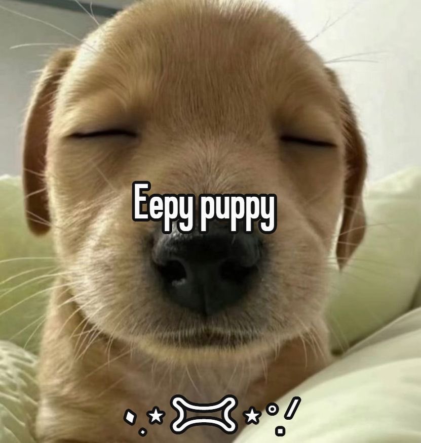 𐂯 your mutt 𐂯 tweet media