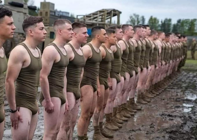 Malechritude tweet media