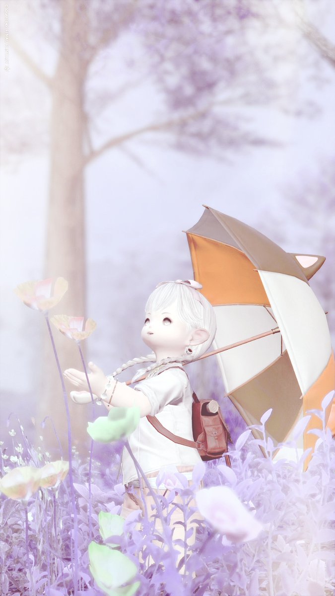 ララ様 確認用 雲居の君 雨だけど涼しくて快適！！ #おはララ