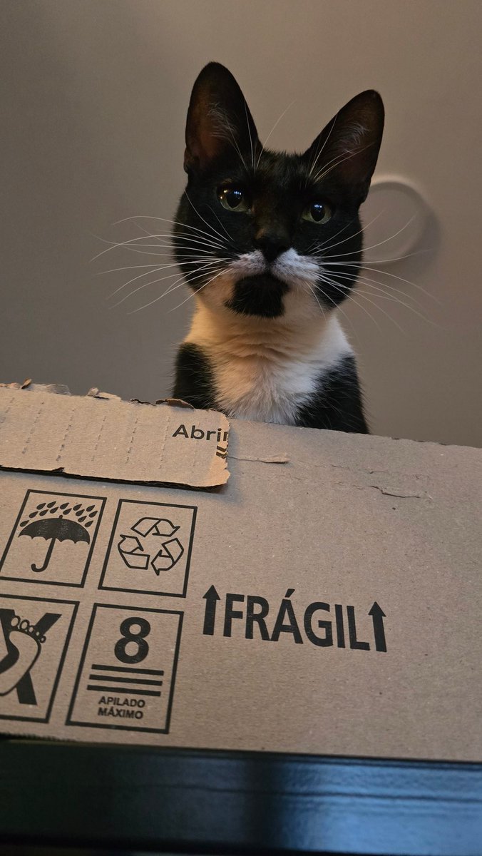Cara Dehacha tweet media