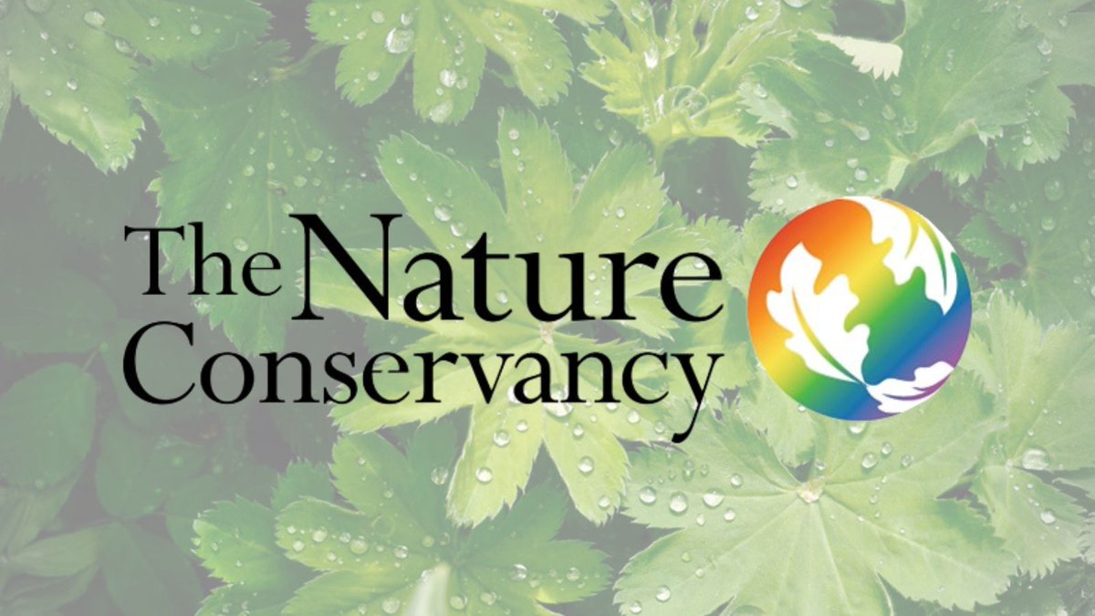 Environmental Career Opportunities (ECO) tweet media