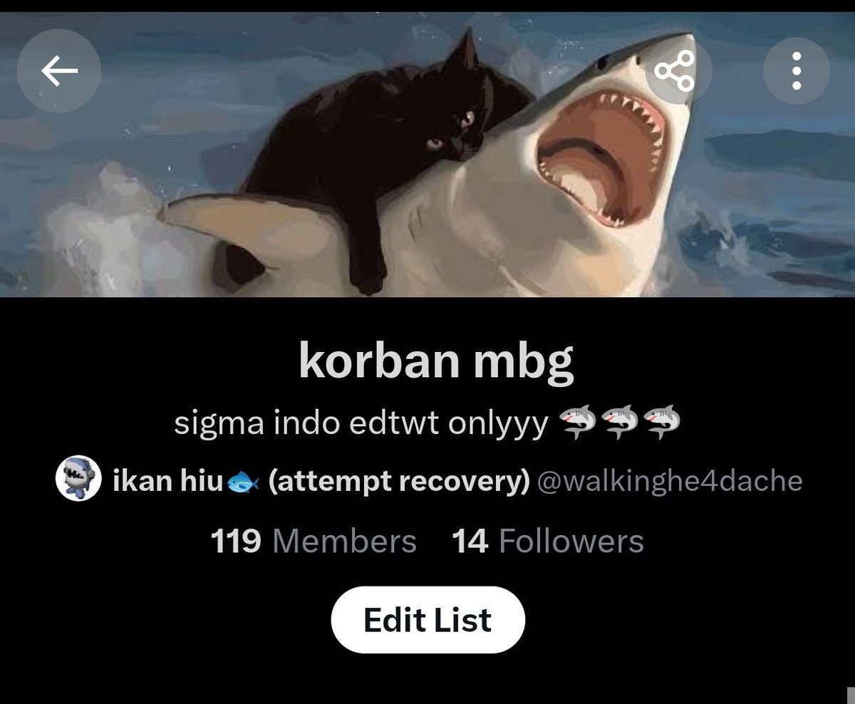 ikan hiu🐟 (attempt recovery) tweet media