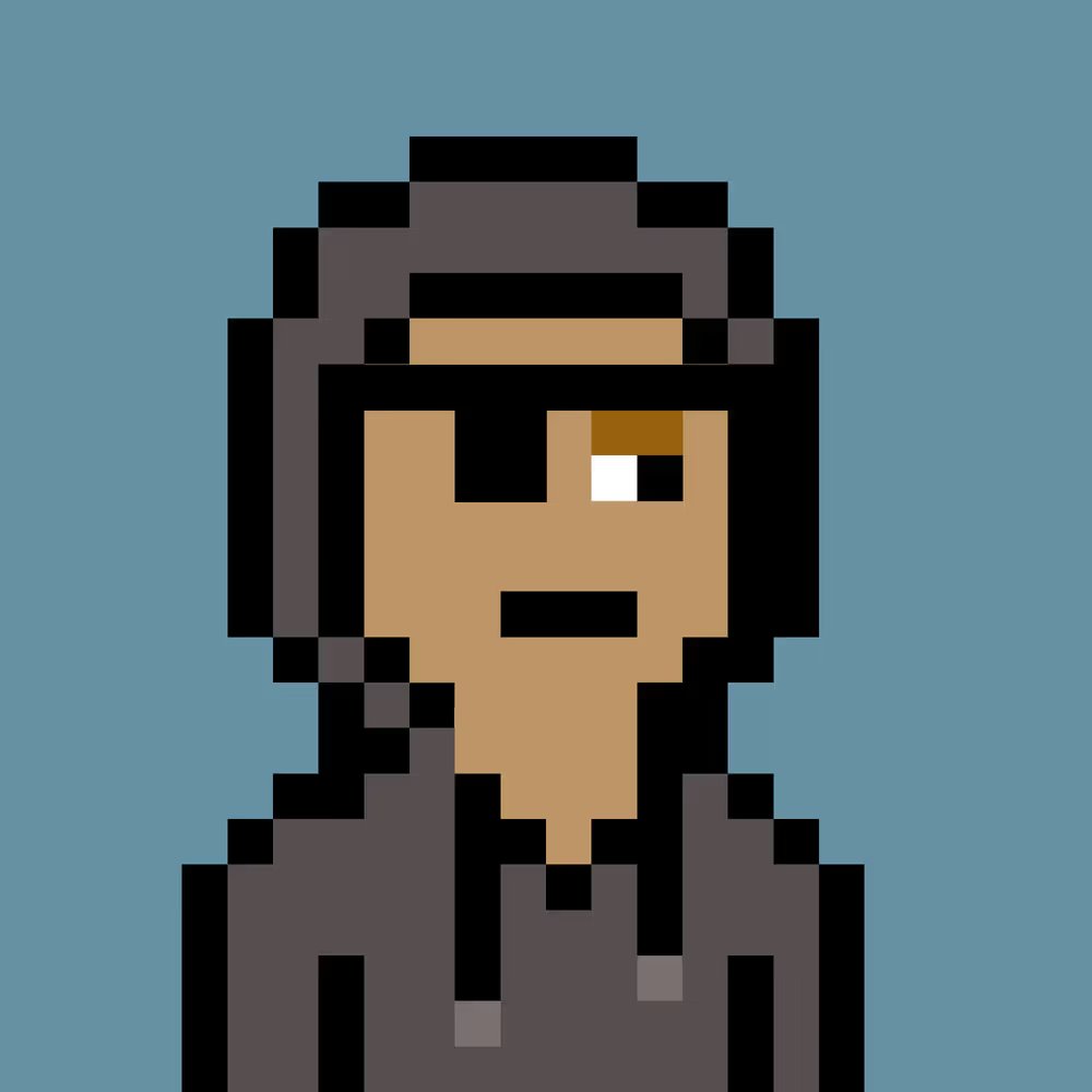 V0 Punks tweet media