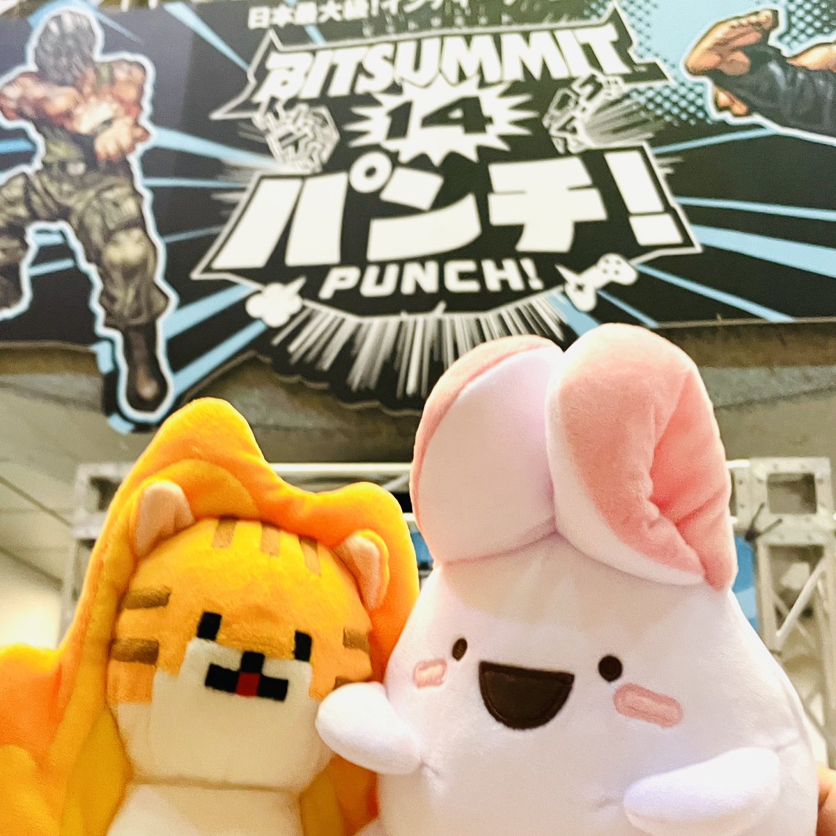 asaha🦑5/22-24BitSummit tweet media
