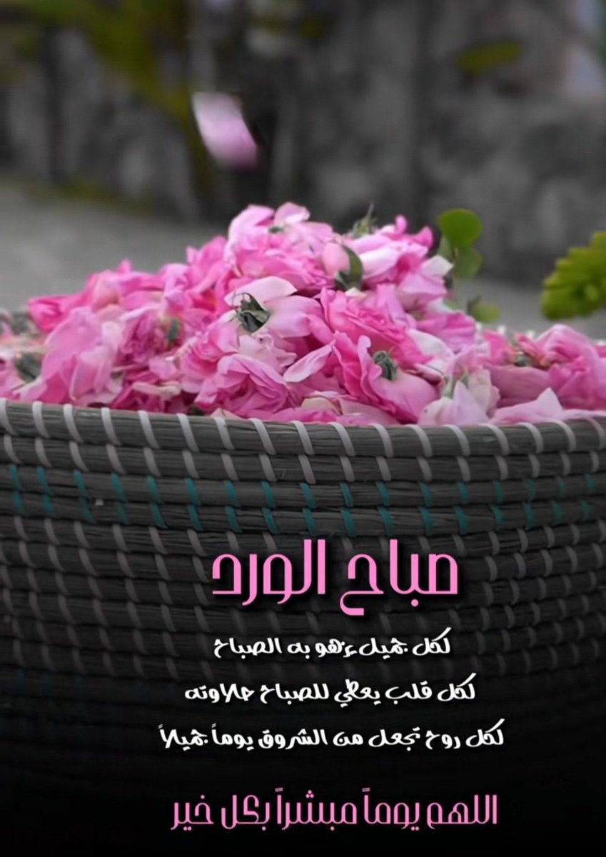 💕عبير 🥀 tweet media