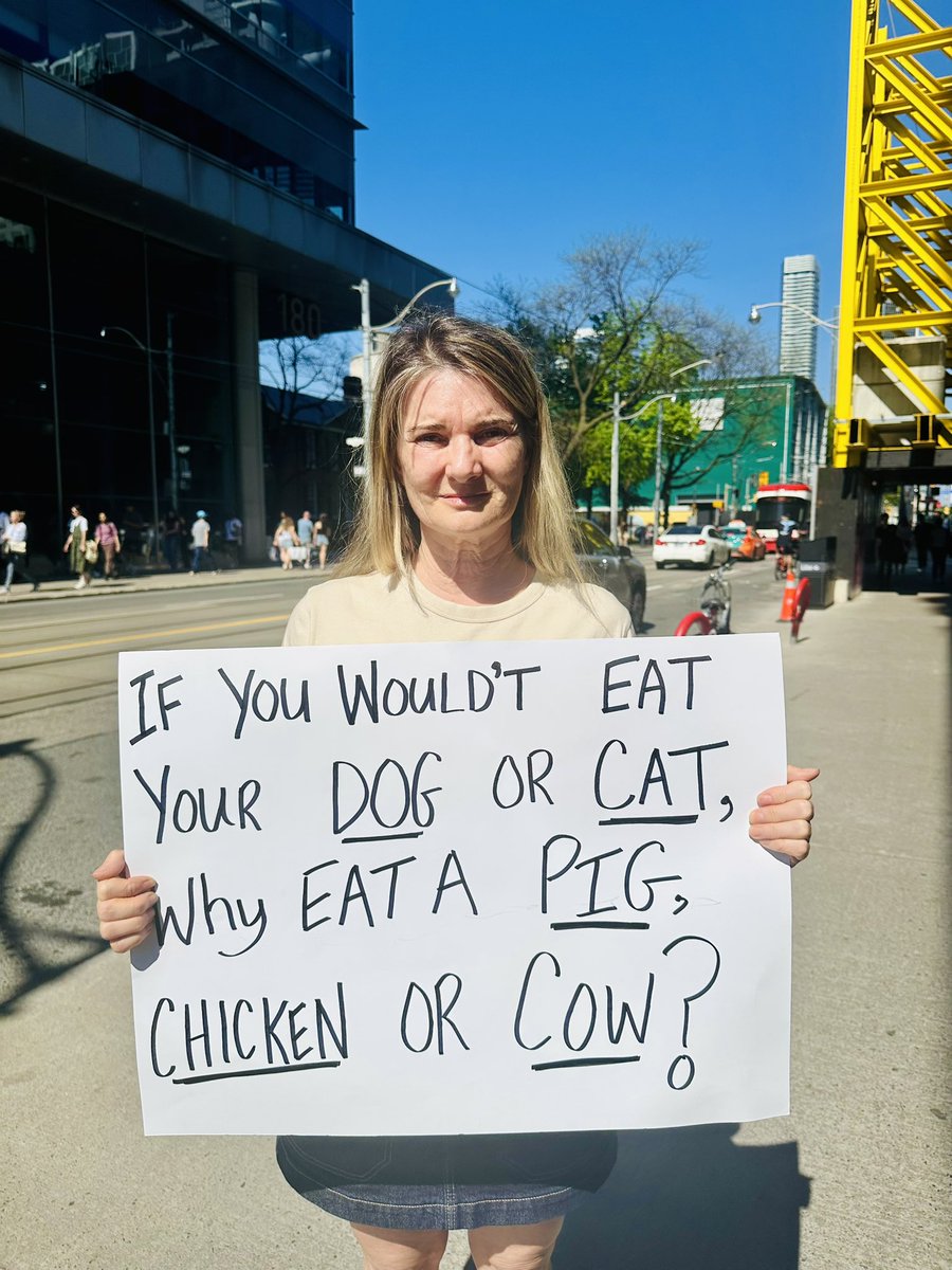 KELLI VEGAN for animals 🌱🦋💕💜 tweet media