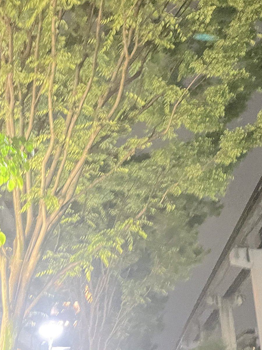 西園寺マル tweet media