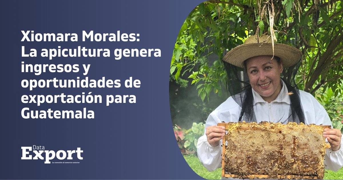 AGEXPORT tweet media