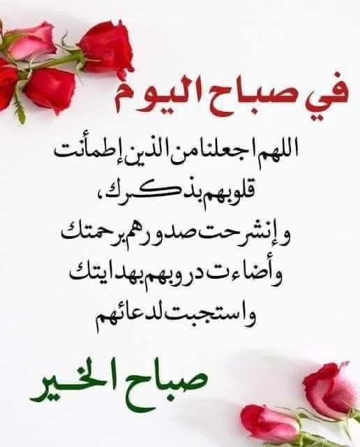 مشاري المشاري tweet media