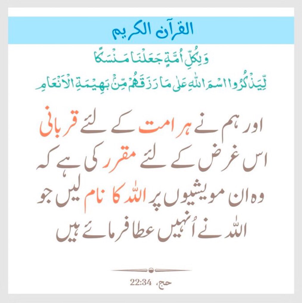 Jibran M Hashmey tweet media
