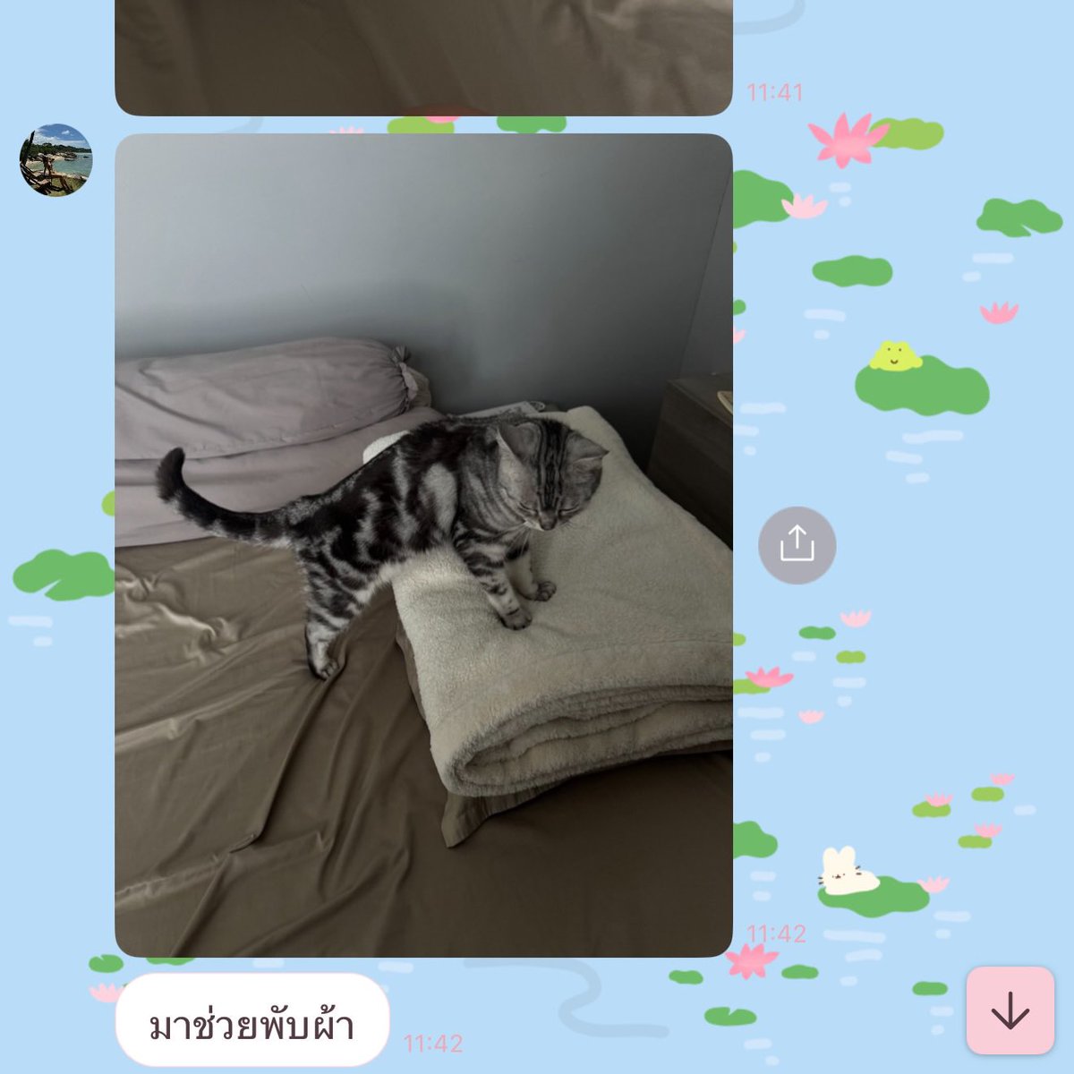 MilkLoveHKFC tweet media