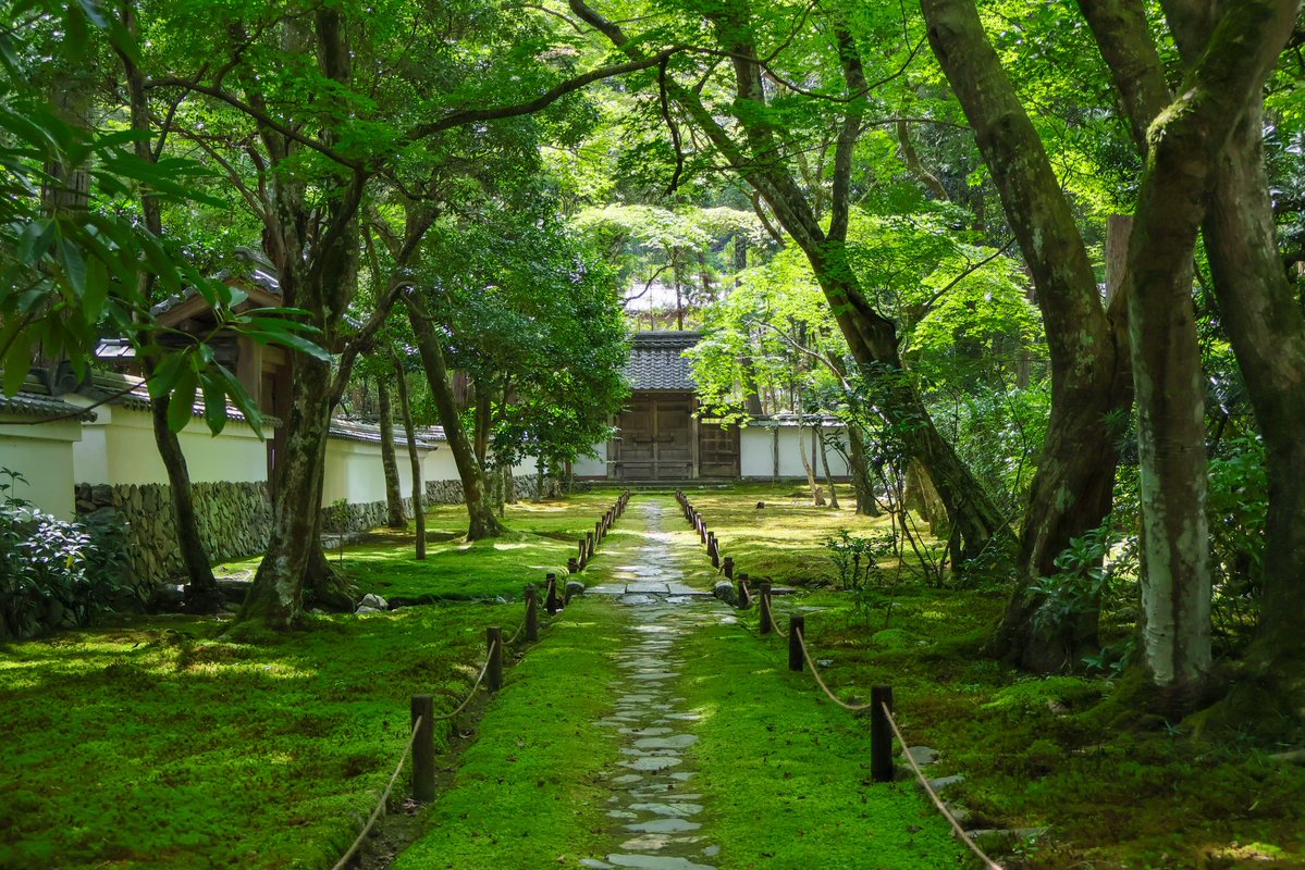 まこ 社寺めぐり tweet media
