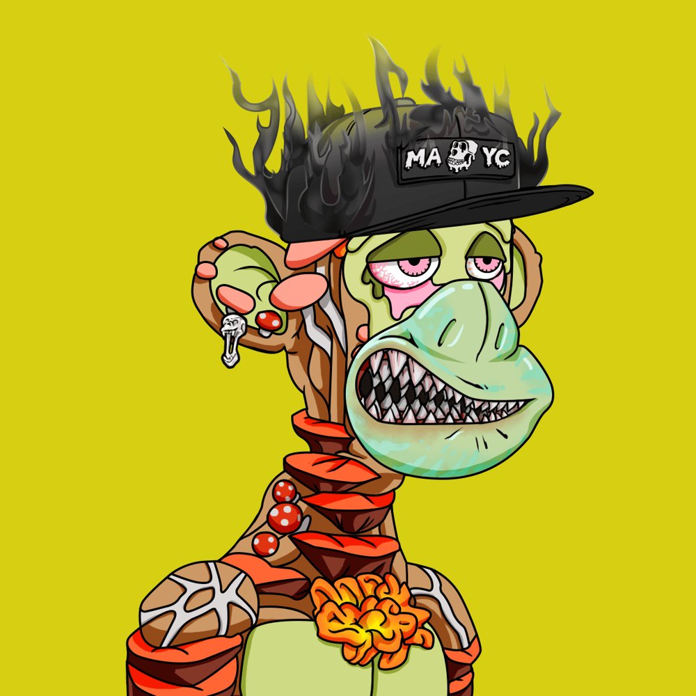 qpatcha 🦍 tweet media