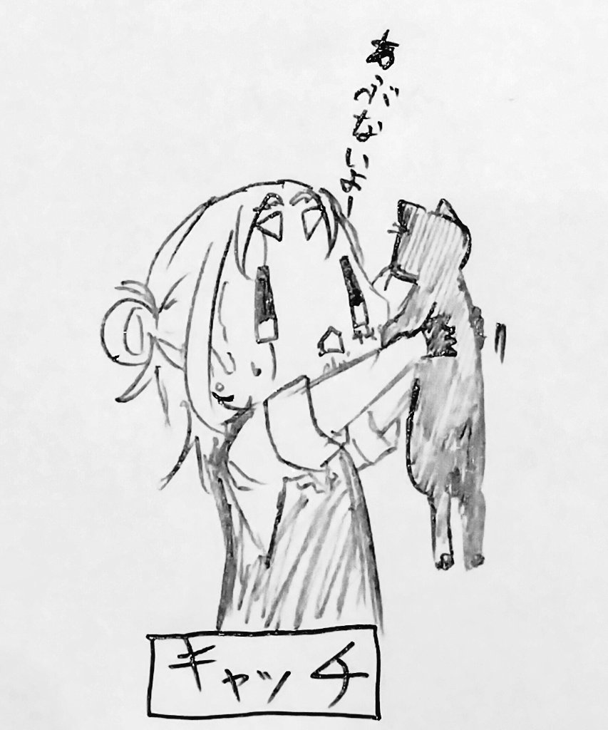 (ΦωΦ)(ΦωΦ)猫ねこちゃん♥トレー♥(ΦωΦ)(ΦωΦ)(ΦωΦ)猫♥ あ、目だ(ΦωΦ)