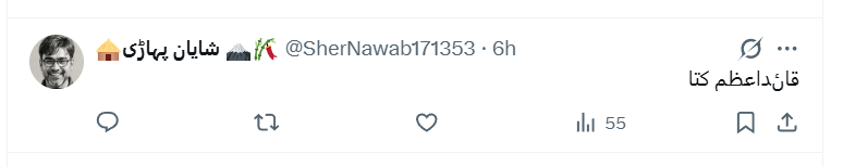Adv Sahiba Rana tweet media