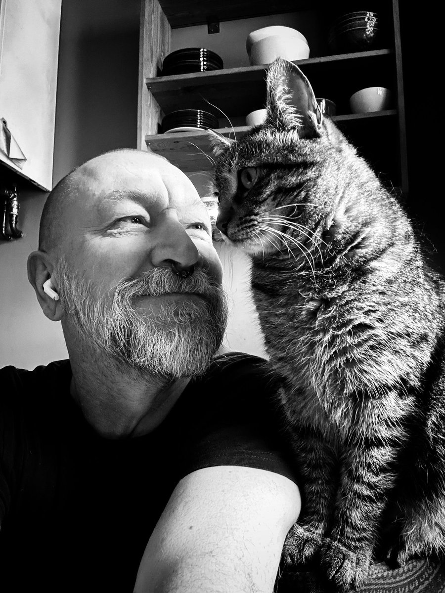 RealTadzioM's tweet photo. Antidote du jour: ein bisschen Wolf- und #catcontent 🥰 https://t.co/UcZXQxpdHj
