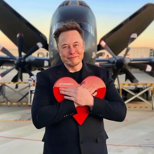 Elon musk news page tweet media