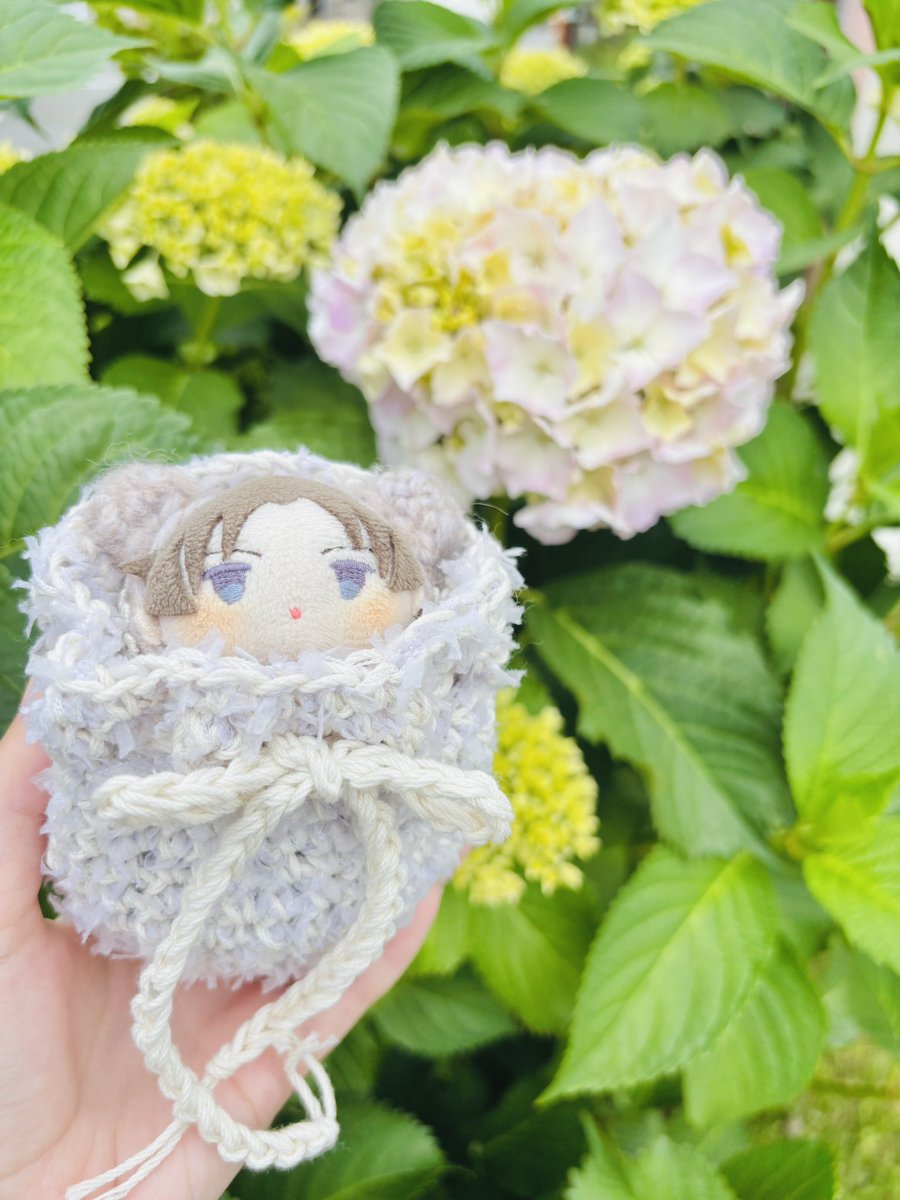 おもち️️️ tweet media