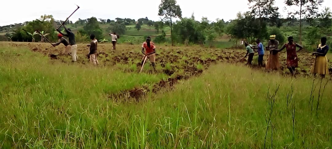 vineyard_ug's tweet photo. A group of motivated youths in Zombo,proudly launching our demonstration plot and farmer's school field,empowering the community with resilient,climate-smart agricultural practices that enables small-scale rural farmers gain valuable knowledge,apply it directly to their farms. https://t.co/OJq2pb6rxy