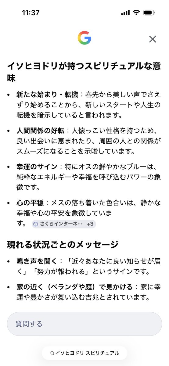 kaa_chanchan's tweet photo. なんかスピリチュアルなこと言うとなかなか縁起はいいらしい🙌
でもフンの掃除が大変😇笑
G対策はとりあえずサッシ窓枠全部ワンプッシュ振りまくった🙂
今から屋外用のブラックキャップの替えを買いにゆく👍
鳥に虫にそんな時期になったんか🥹(苦手なものばっか) https://t.co/ghJcnMoZXn