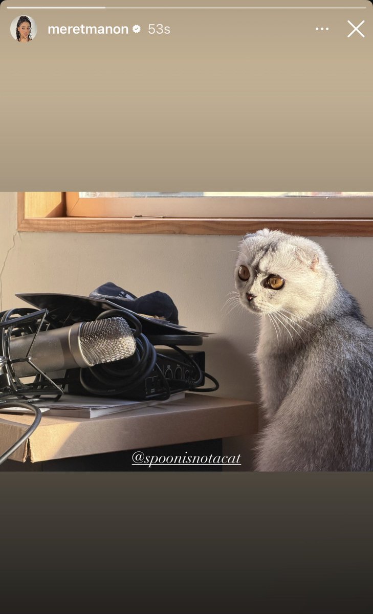 M 🧚🏽 tweet media