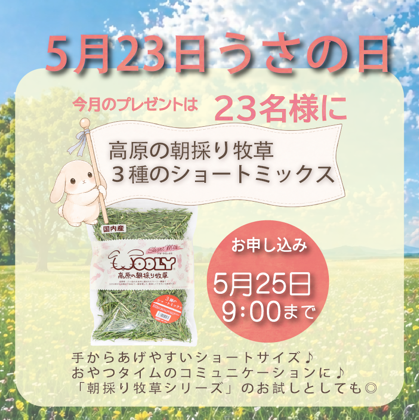 WOOLY(ウーリー) ㅣ うさぎの食彩工房 tweet media