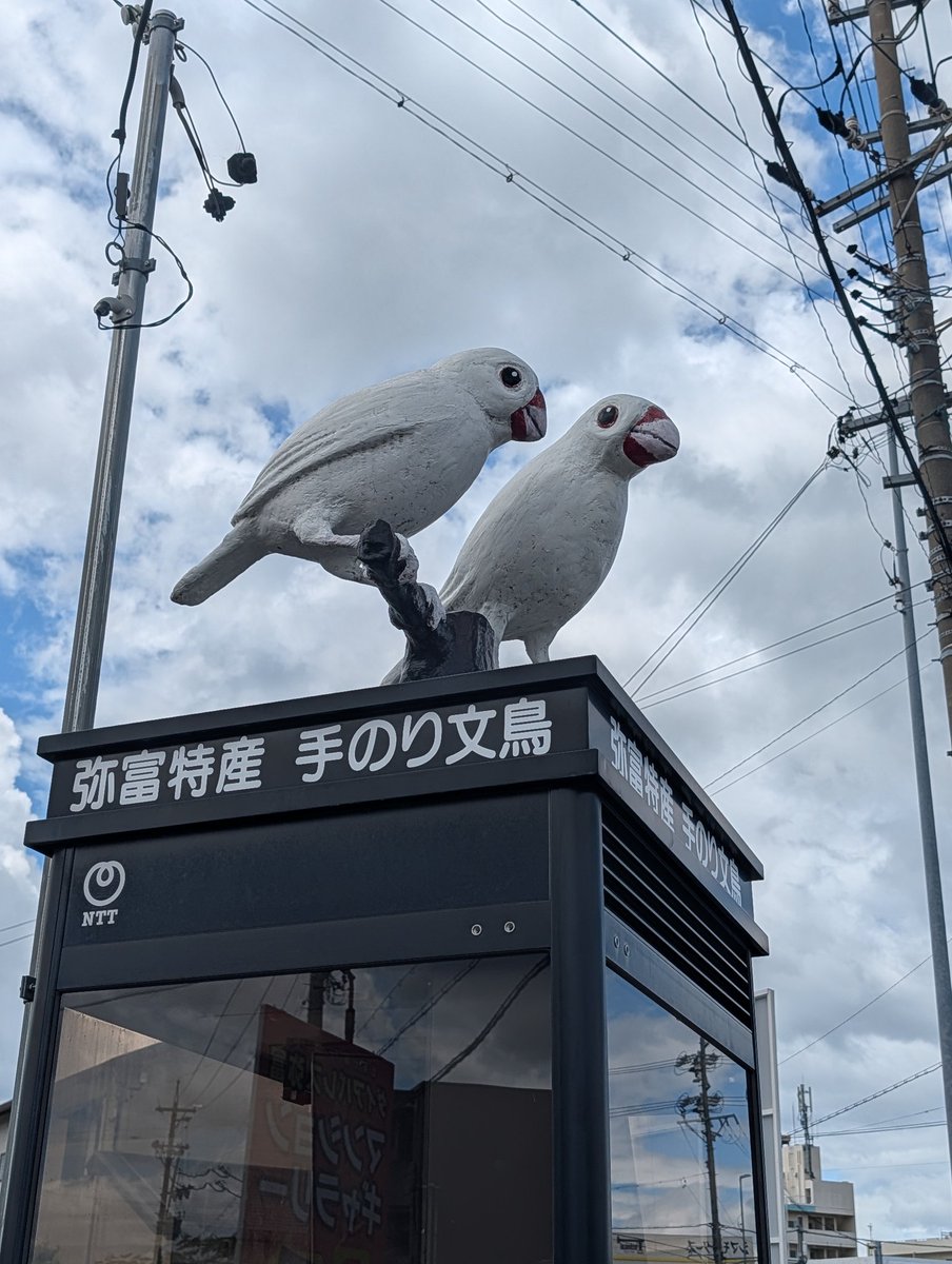 YAE_at_Yatomi's tweet photo. 近鉄弥富駅のタペストリーが弥富市歴史民俗資料館に移設されました🕊️
ぶんちゃんもお引越しの様子が気になるようで最前で見守り🔍️
明日はついに退官式！ぜひ弥富の文鳥スポットをご堪能くださいね😊
#弥富
#文鳥
#イベント
#今日のぶんさく https://t.co/GnZjV4GWXU