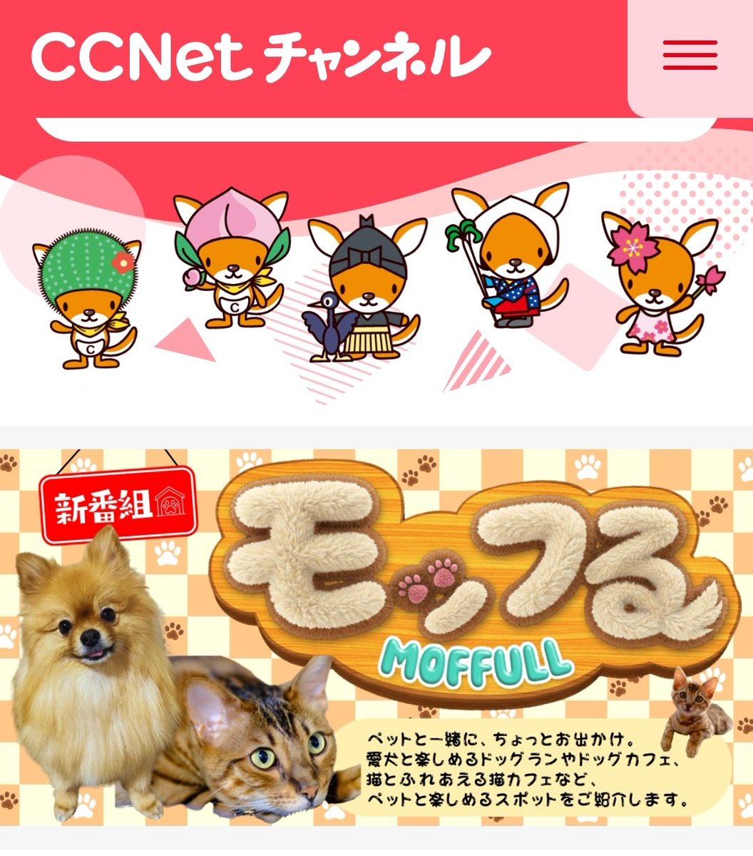 カフェねこ 猫カフェ にゃーにゃーにゃー (@nekocafenya) / Posts / X