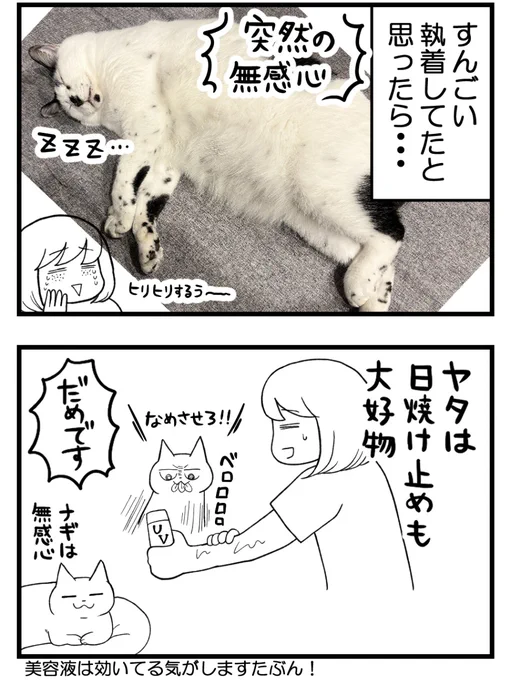 (3/3) 
