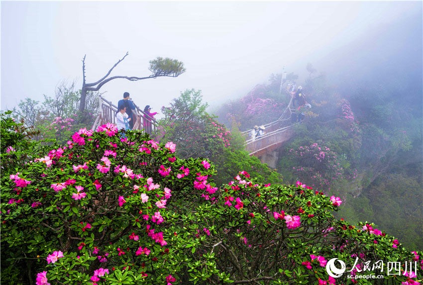 Beautiful China tweet media