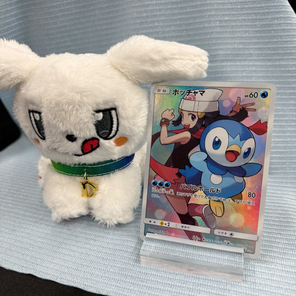 ポッチャマ　CHR ポッチャマ CHR(ポケモンカードSM11b ドリームリーグ)