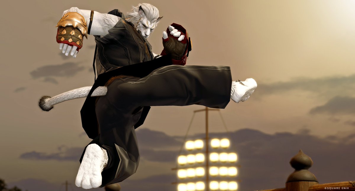 SolLeone_XIV's tweet photo. ストリート ロスガル ファイター💪🦁
STREET Hrothgar FIGHTER💥

PvPアクション
必殺技：もふもふ旋風脚

#FF14 #ロスガル