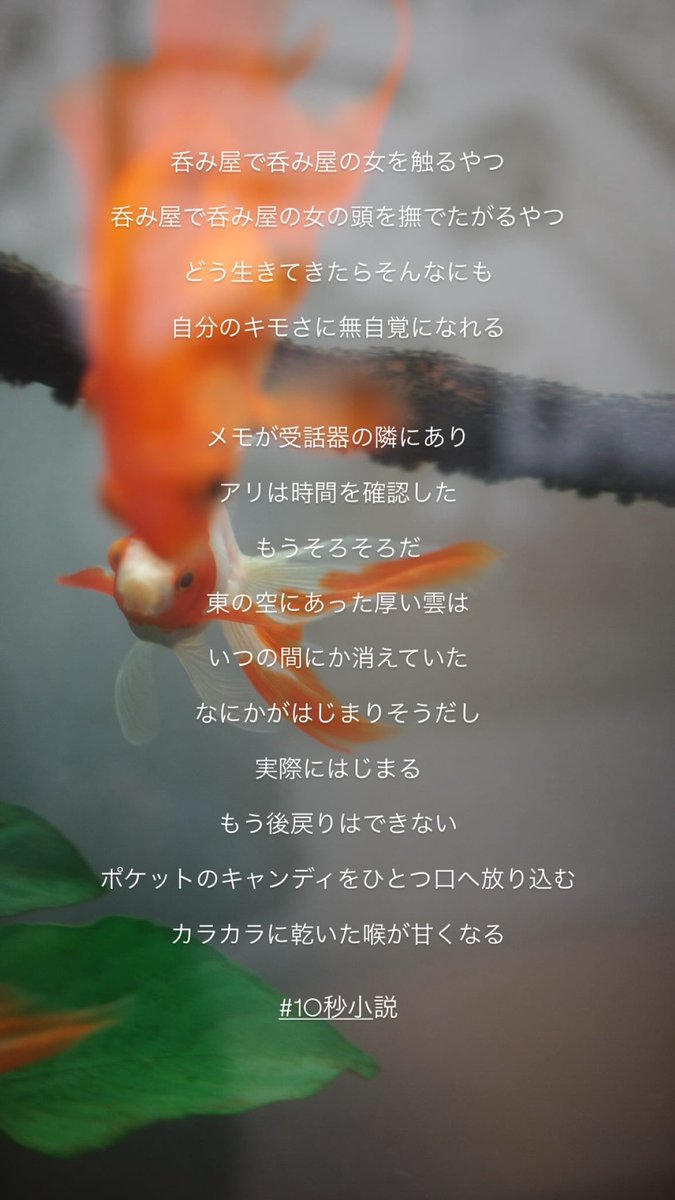 Post by 奇妙礼太郎/Strange Reitaro on X: お昼ですなー