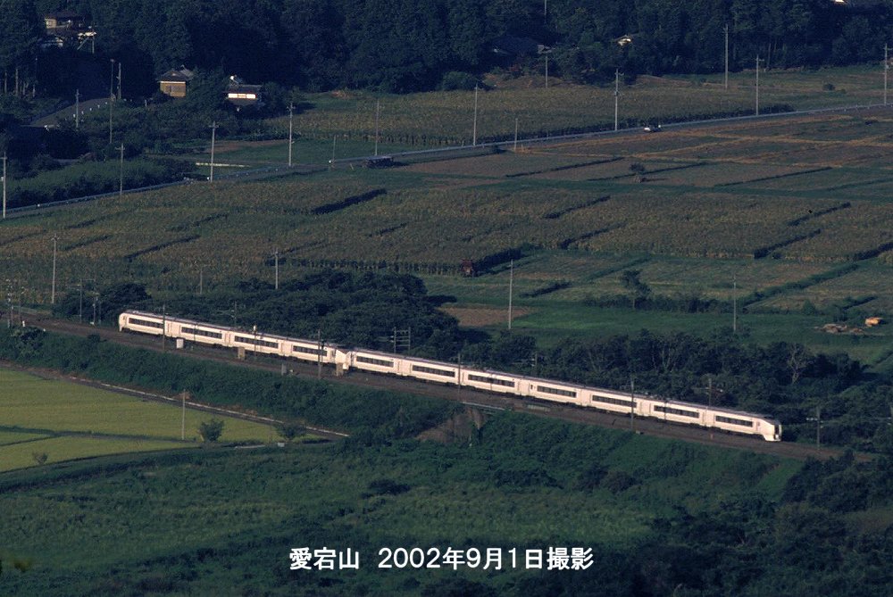 奥久慈51号 tweet media